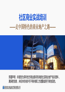 社区商业实战策划249p
