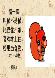 跑进家来的松鼠.公开课PPT