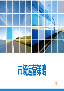 市场运营方案(模板)