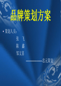 品牌策划方案