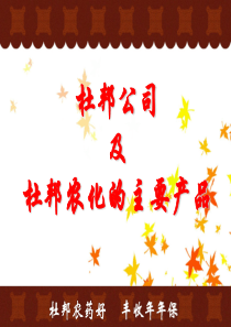杜邦的主要产品