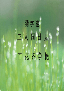 2019年人音版音乐五下《春雨蒙蒙地下》课件3