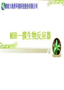 MBR-膜生物反应器