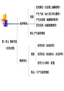 2重点教科版小学科学六年级下册第二单元综合练习PPT课件