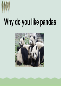 《Why-do-you-like-pandas》课件3