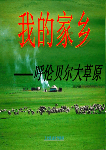 我的家乡——呼伦贝尔大草原