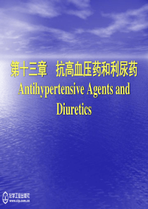 中国药科大学-药物化学课件尤启东版本-13