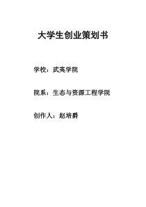 2017大学生创业策划书