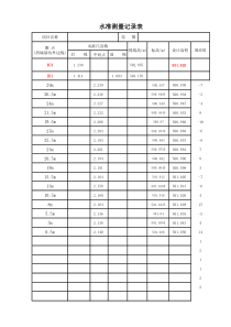 水准测量记录表(转点自动计算)