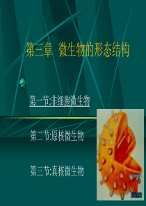 北工大微生物学-第3章SARS