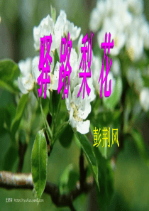 驿路梨花