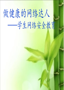 学生网络安全教育PPT课件