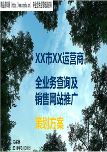 策划报告
