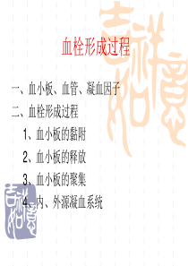 血栓形成过程