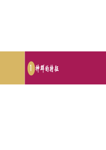 4.1设计一种群的特征