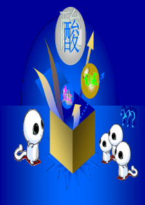 九年级化学酸碱盐总复习课件(8)