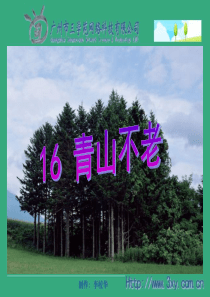 人教版六年级语文上册第16课《青山不老》PPT课件