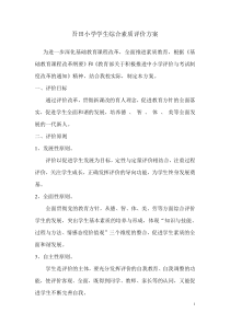 小学生综合评价方案
