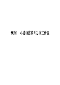 专题1：小城镇旅游开发模式研究