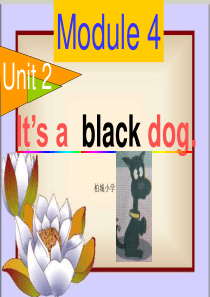 its_a_black_dog[1]1