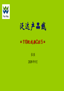 泛达产品线-110配线架Cat5