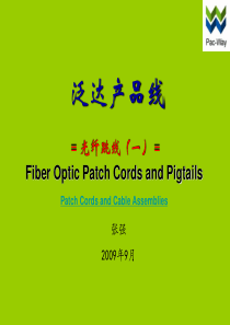 泛达产品线-光纤跳线1