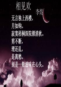相见欢-复习课件
