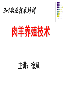 35肉羊养殖资料