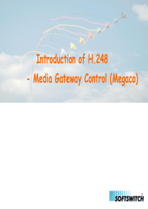 H248协议介绍(英文)