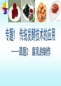 腐乳的制作ppt课件