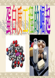 蛋白质工程的崛起ppt(讲课)