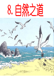 《自然之道》公开课优质课ppt课件.