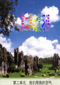 我们周围的空气复习