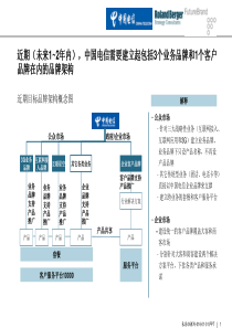 罗兰贝格中国电信品牌策划三稿-3