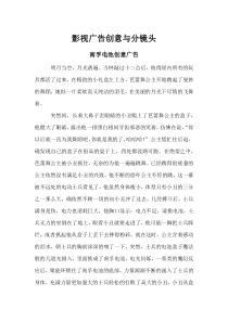 影视广告创意与分镜头脚本