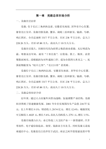 芜湖策划提案(1)