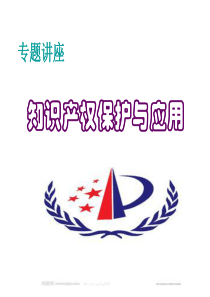 知识产权保护与应用.