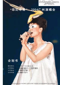 菲比寻常广告策划书(1)