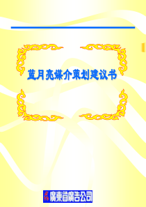蓝月亮媒介策划建议书(18P)