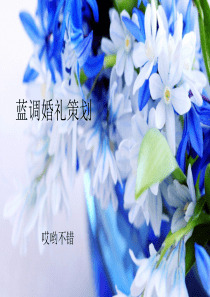 蓝调婚礼策划