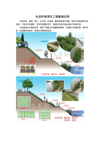 生态护坡项目工程案例应用