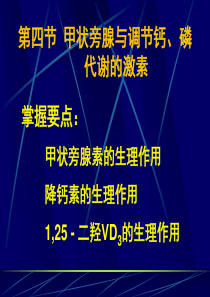 第4节-甲状旁腺与调节钙磷代谢的激素