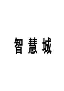 西安_长安新城_智慧城项目发展定位策划报告_233PPT