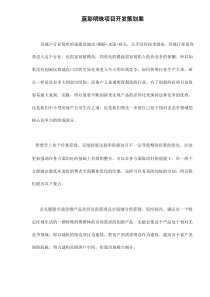 蓝彩明珠项目开发策划案doc11(1)