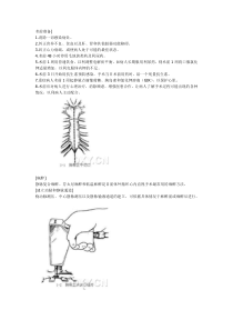 体外循环建立步骤