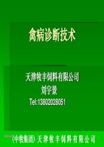 禽病诊断技术讲座