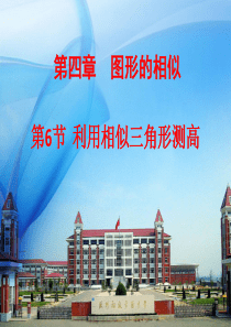 数学-北师大(九上)4.6 利用相似三角形测高 (1)
