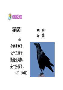(人教新课标)一年级语文下册第19课《乌鸦喝水》课件(2)(共25张PPT)