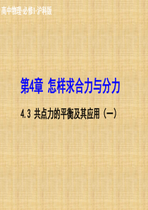 高中物理 4.3 共点力的平衡及其应用(一)课件 沪科必修1