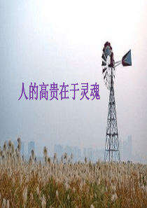 外研英语必修二module1教案